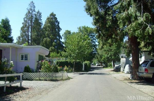 Photo 1 of 2 of park located at 236 Talent Ave Talent, OR 97540
