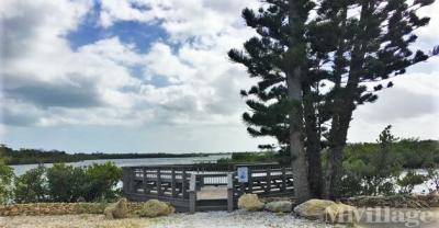 island seabird mhvillage fl