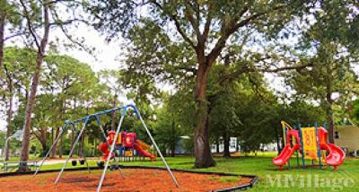 Photo 4 of 9 of park located at 7501 142nd Ave North Largo, FL 33771