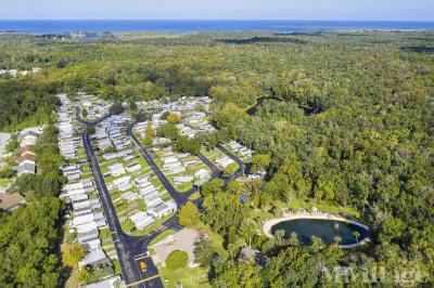 Mobile Home Park in Spring Hill FL