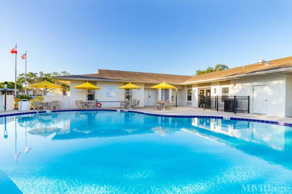 Photo 1 of 2 of park