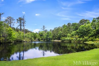 Photo 2 of 8 of park located at Route 24 Newport, NC 28570