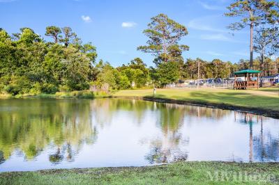 Photo 3 of 8 of park located at Route 24 Newport, NC 28570