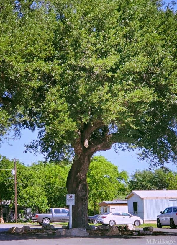 Photo of Country Way Village Mobile Home Park, New Braunfels TX