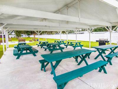 Photo 4 of 14 of park located at 2236 SE 100th Lane Webster, FL 33597