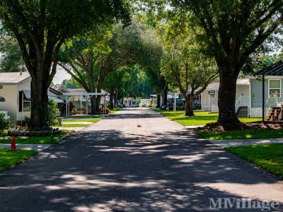 Photo 5 of 8 of park located at 7820 Wire Road Zephyrhills, FL 33540