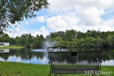 Photo 5 of 14 of park located at 36323 Arbor Oaks Drive Zephyrhills, FL 33541