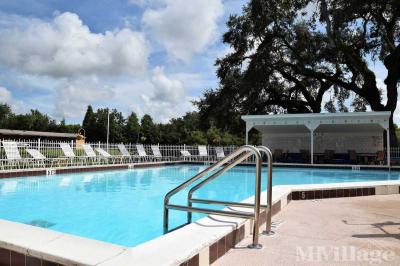 Photo 2 of 14 of park located at 36323 Arbor Oaks Drive Zephyrhills, FL 33541