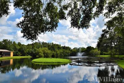 Photo 3 of 14 of park located at 36323 Arbor Oaks Drive Zephyrhills, FL 33541