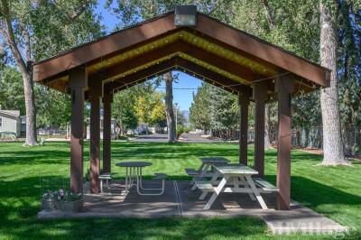 Photo 2 of 18 of park located at 1166 Madison Avenue Loveland, CO 80537