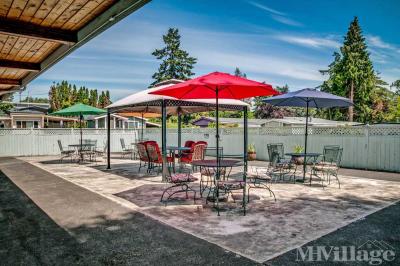 Photo 5 of 16 of park located at 3500 SE Concord Road Milwaukie, OR 97267