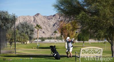 Mobile Home Park in Yuma AZ