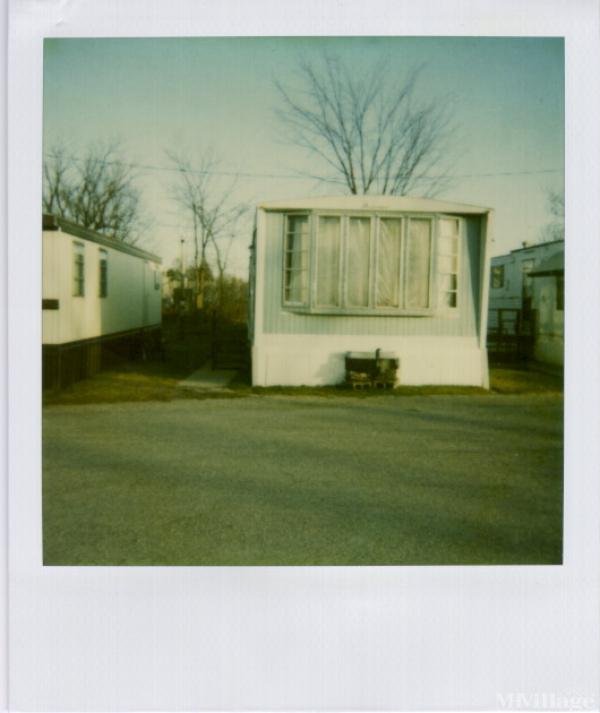 Photo of Young's Trailer Park, Reed City MI