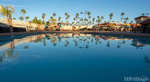 Photo of Good Life RV Resort, Mesa AZ