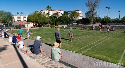 Photo 5 of 22 of park located at 16501 North El Mirage Road Surprise, AZ 85374