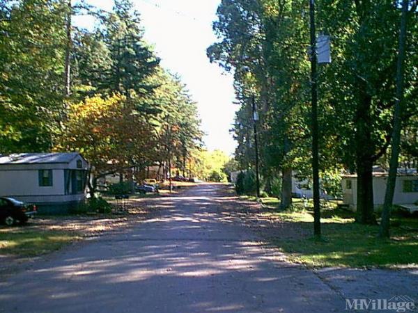 Photo 1 of 1 of park located at 70 Cloverleaf Trailer Park Adamsville, AL 35005