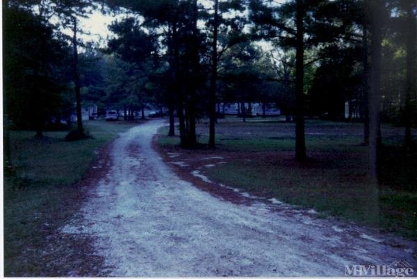 Photo 1 of 2 of park located at 400 Klondike Rd York, AL 36925