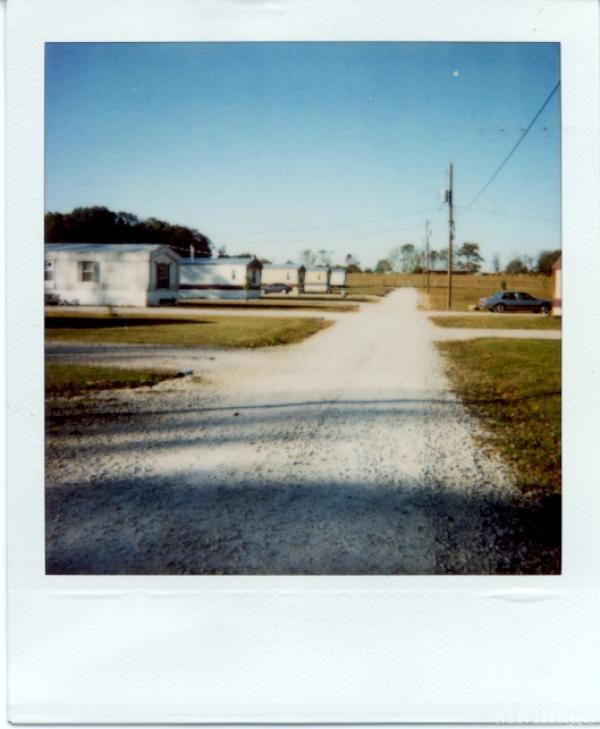 Caddo Mobile Home Park Mobile Home Park in Trinity, AL MHVillage