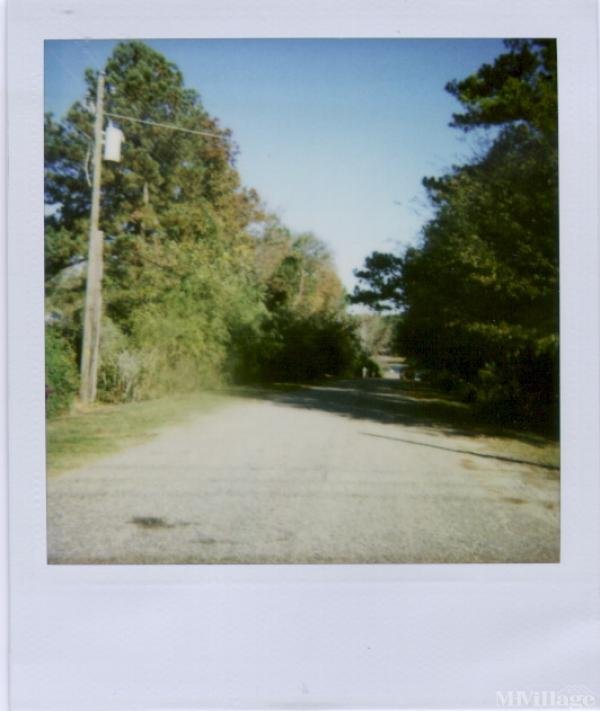 Photo 1 of 1 of park located at 15317 Bay Shore Drive Northport, AL 35475