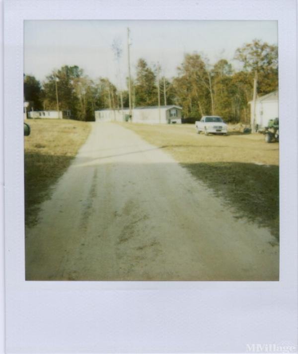 Photo of Pineview Mobile Home Park, Opelika AL