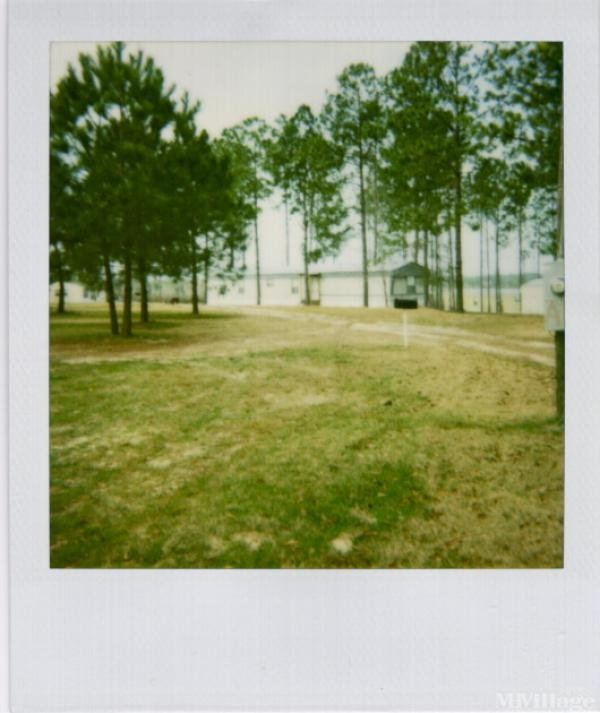 Photo 1 of 1 of park located at 211 Honeysuckle Drive Andalusia, AL 36420