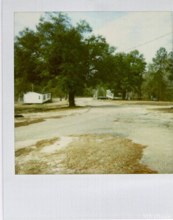 Photo 1 of 1 of park located at Highway 17 South Chatom, AL 36518