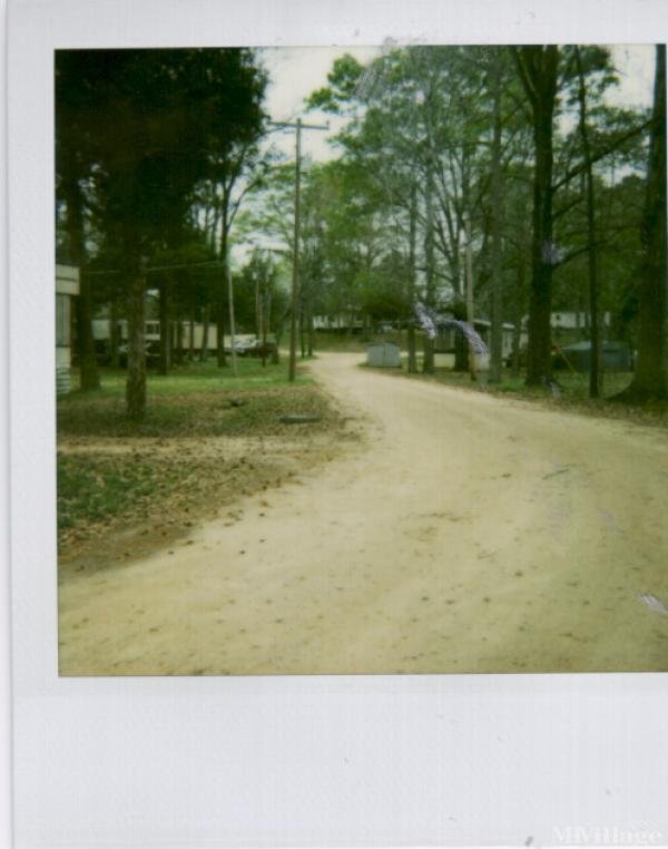 Photo 1 of 1 of park located at Shady Lake Drive Lowndesboro, AL 36752