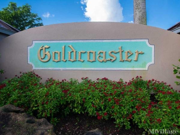 Photo of Goldcoaster, Homestead FL