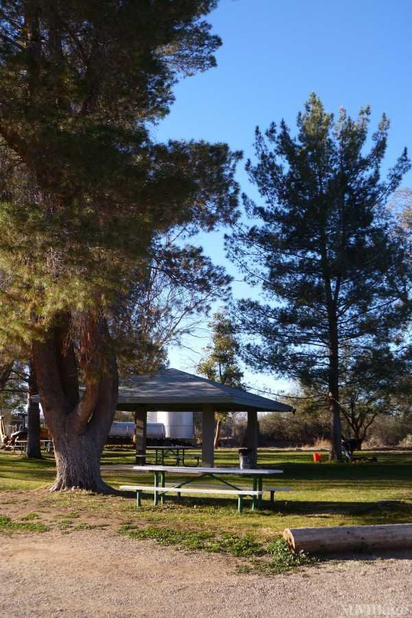 Photo 1 of 2 of park located at 17200 South La Villita Road Sahuarita, AZ 85629