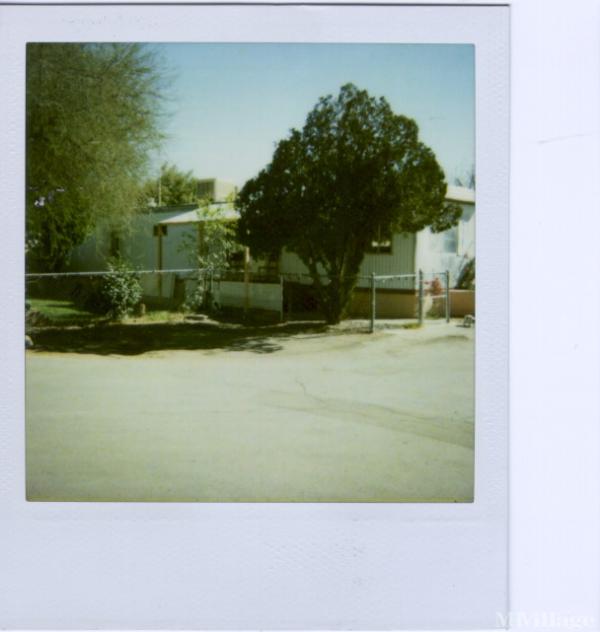 Mountain Shadows Mobile Home Park Mobile Home Park in Phoenix, AZ