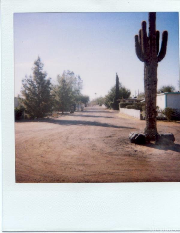 Photo 1 of 1 of park located at 9340 East Sleepy Hollow Mesa, AZ 85207