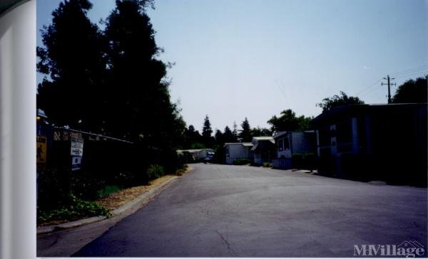 Photo of Adobe Mobile Lodge, Concord CA