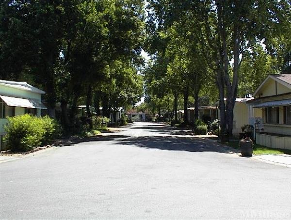 Photo 1 of 2 of park located at 567 East Lassen Avenue Chico, CA 95973