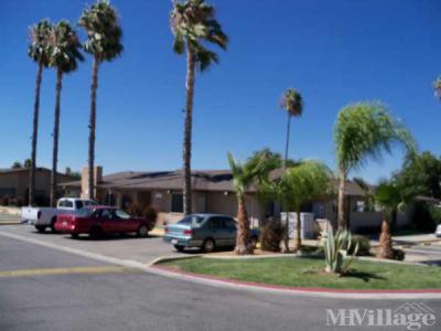 Desert Palms MHP Mobile Home Park in Hemet, CA | MHVillage