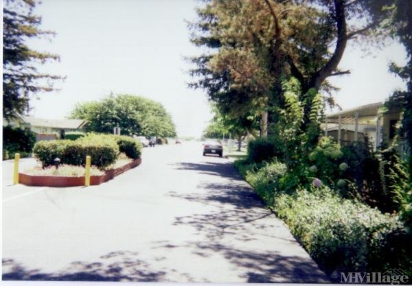 Photo of Bellevue Mobile Park, Atwater CA