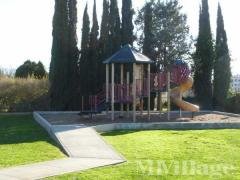 Photo 4 of 15 of park located at 4041 Pedley Road Riverside, CA 92509