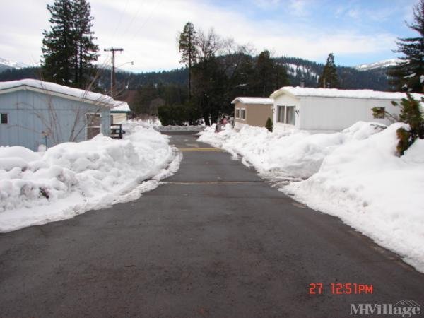 Photo of Chateau Shasta Mobile Home & Rv Park, Mount Shasta CA