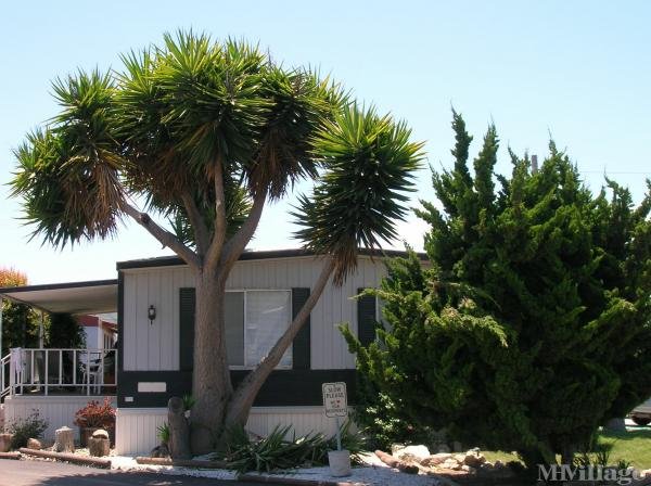 Photo of Continental Manufactured Home Community, Lompoc CA