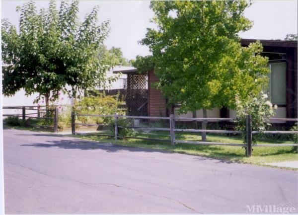 Photo of Lakeshore Estates, Lakeport CA