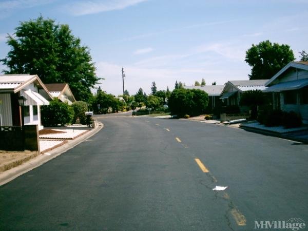 Photo of McCall Village Mobile Home Park, Selma CA