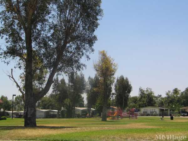 Photo 1 of 2 of park located at 243 N. Meridian Ave San Bernardino, CA 92410