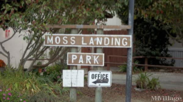 Photo of Moss Landing Mobile Manor, Moss Landing CA