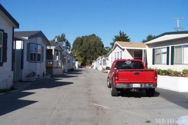 Photo of Ocean Breeze Manor, Santa Cruz CA