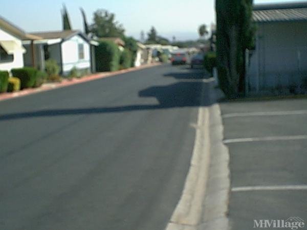 Photo of Pacific Palms Mobilehome Park, Highland CA