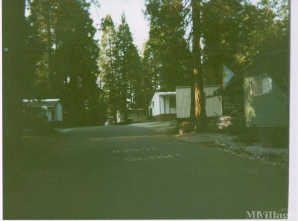 Photo of Pioneer Creek Mobile Home Community, Pioneer CA