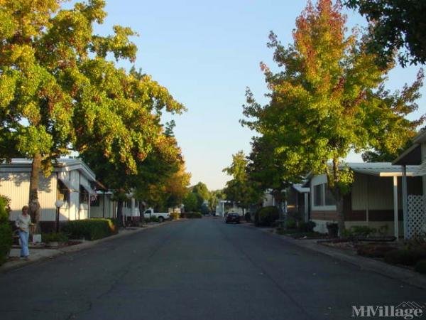 Photo of River Park Mobile Estates, Anderson CA