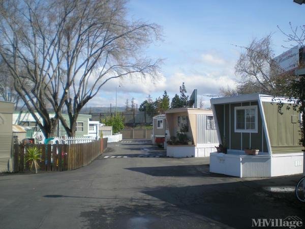 Photo of Arbor Point MHC, San Jose CA