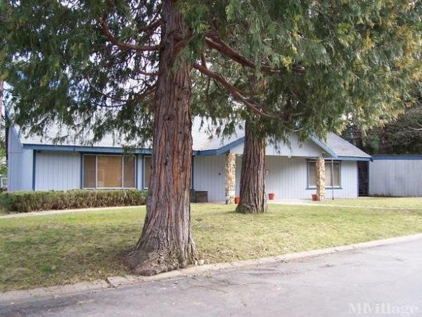 Photo of Shady Pines Mobile Home Park, Quincy CA