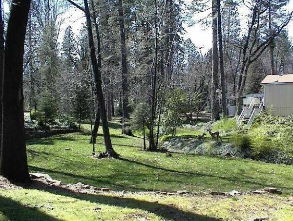 Photo of Sherwood Forest Mobile Home Park, Paradise CA