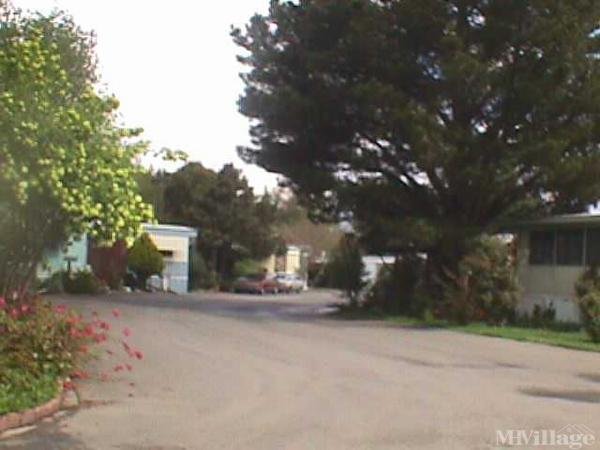Photo of Sierra Mobile Home Park, Cotati CA